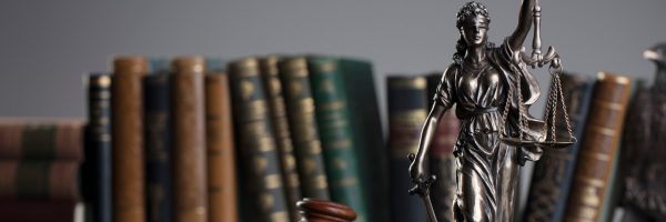 Legal B-BBEE Sector Codes of Good Practice judgment and transformation strategy