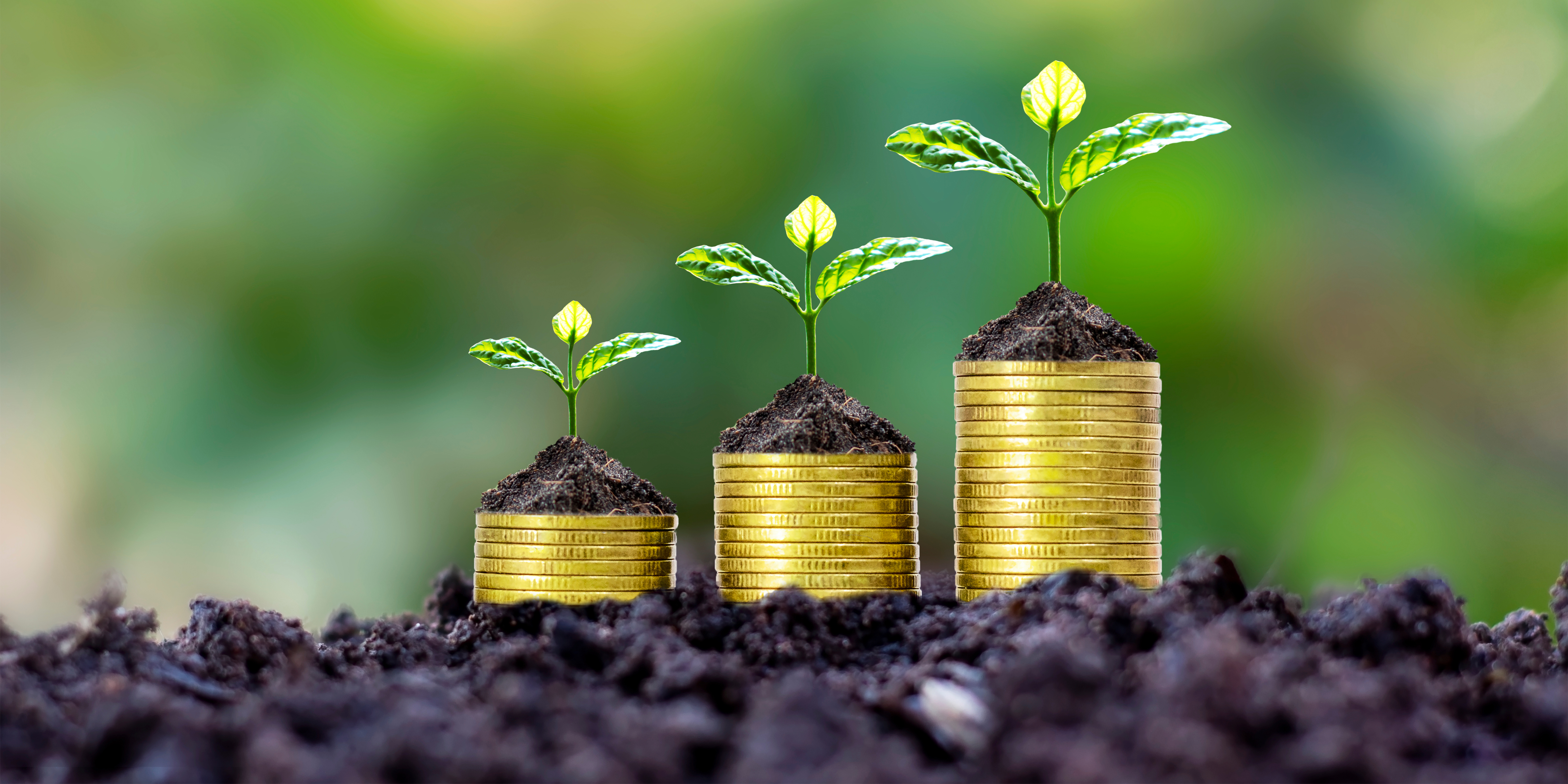 R100bn Transformation Fund