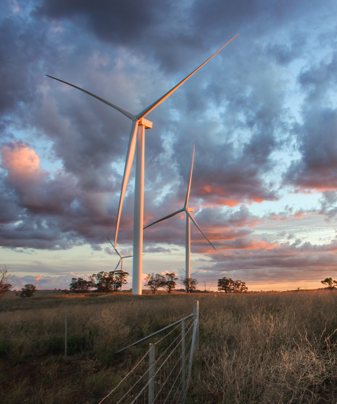 wind turbine for renewable energy